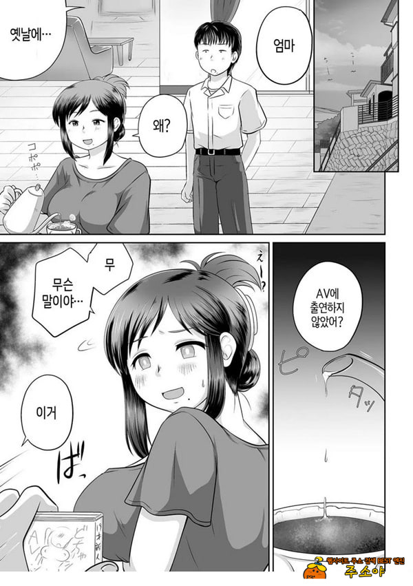 우리 엄마가 전 AV여배우
