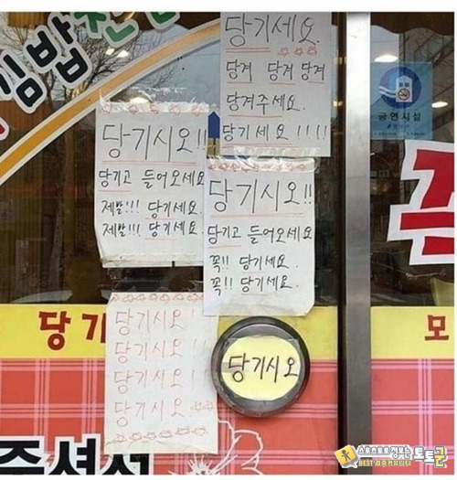 노빠꾸 오로지 직진 한국인들 노빠꾸 오로지 직진 한국인들