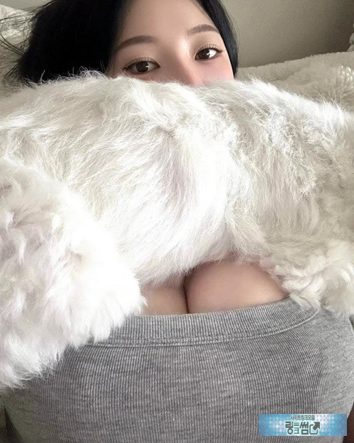 불토의 즐거움