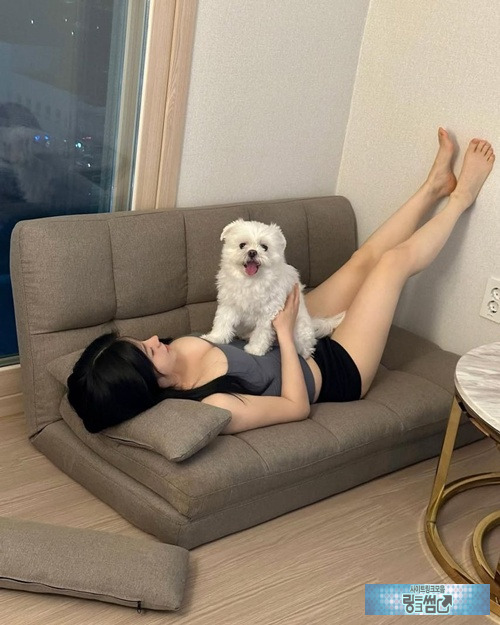 불토의 즐거움