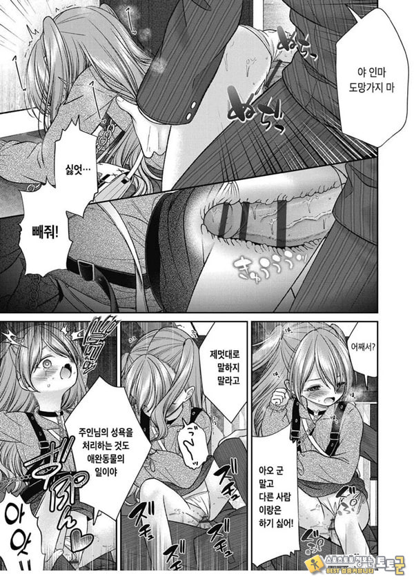 시오자키 에미리