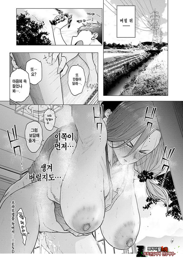플라도 녹이고