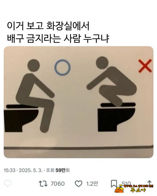 두번째 자세로 싸는 사람 은근 많음 두번째 자세로 싸는 사람 은근 많음