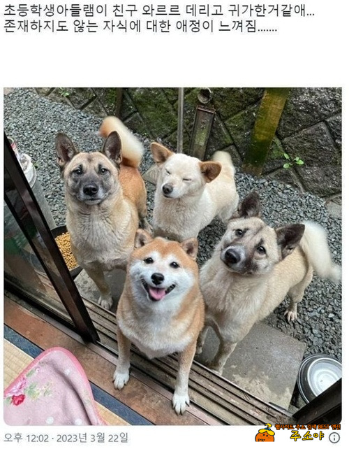 라멘끓여줄테니깐 친구들이랑 마당가서 놀구있어 라멘끓여줄테니깐 친구들이랑 마당가서 놀구있어