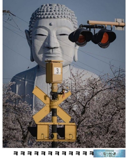 생얼공개해서 눈부시다