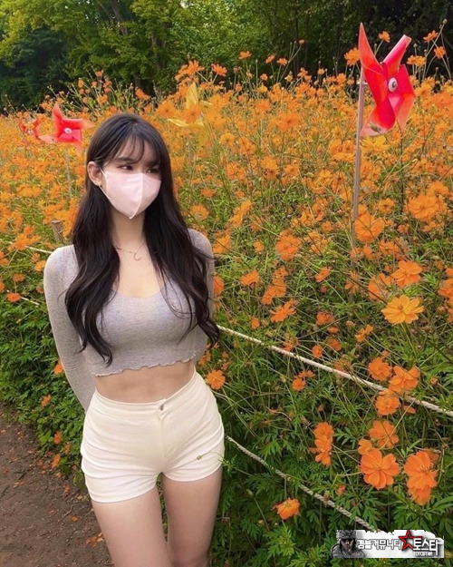 인스타는 정말 좋은거야