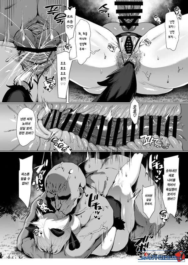 발정 사파리
