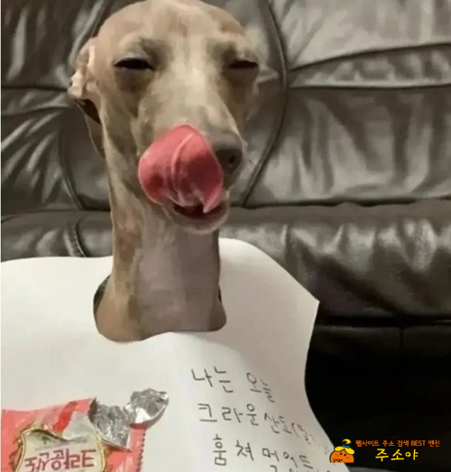 후회하지 않는다 ㅋ 후회하지 않는다 ㅋ