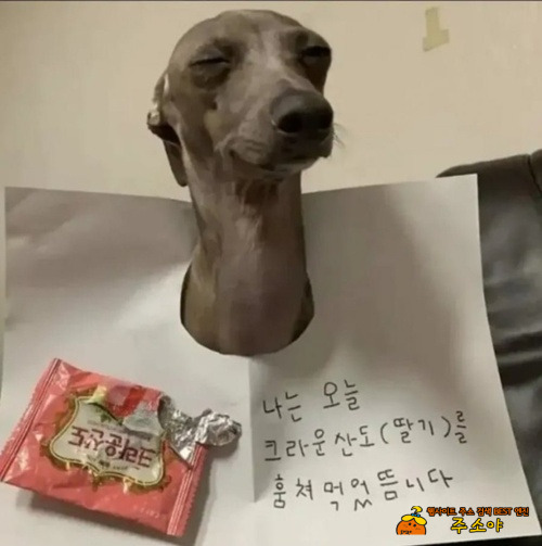 후회하지 않는다 ㅋ 후회하지 않는다 ㅋ