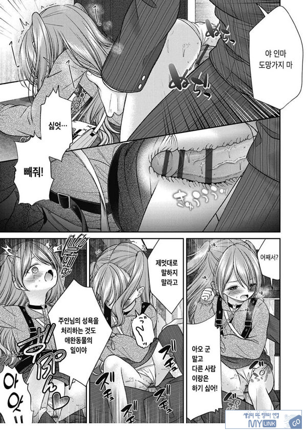 시오자키 에미리