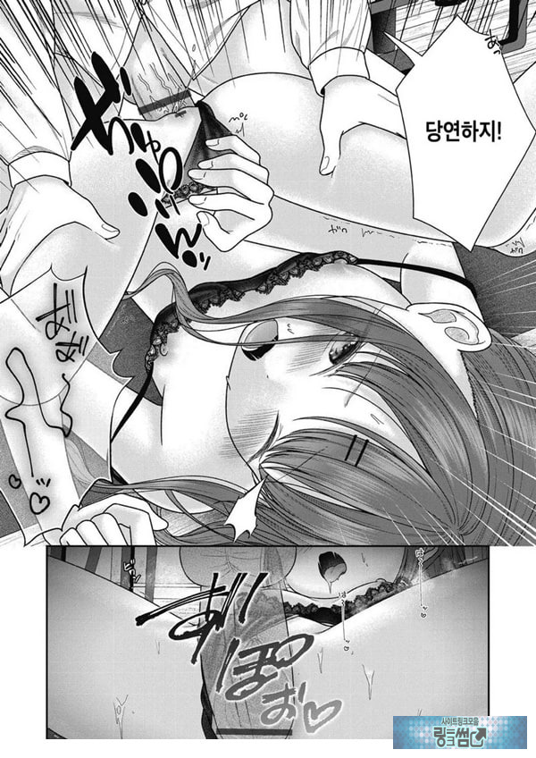 아이자와 니코
