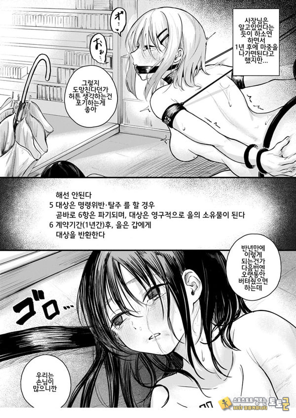 여성의 권리가 사라진 나라 여성의 권리가 사라진 나라