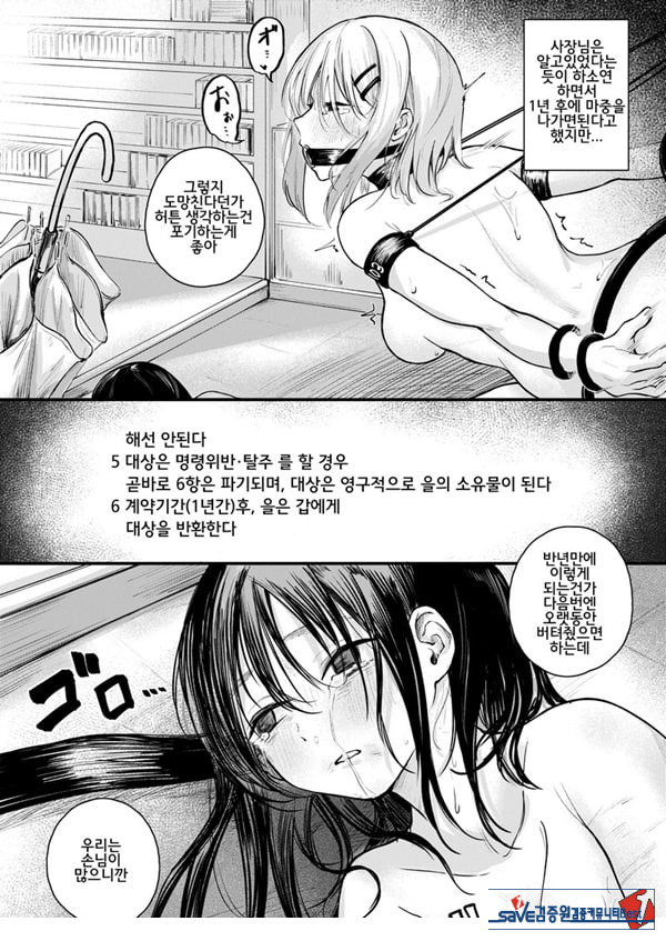 여성의 권리가 사라진 나라