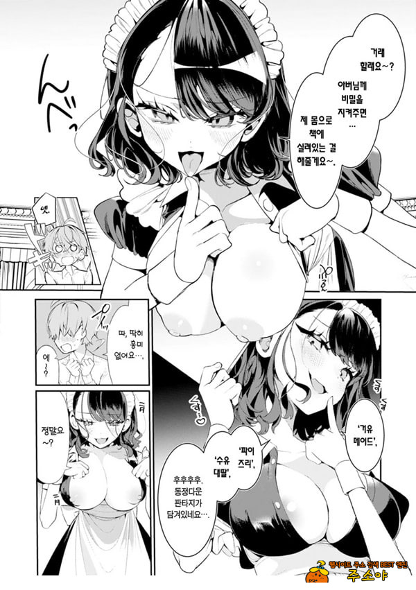 불성실한 메이드 루이 씨