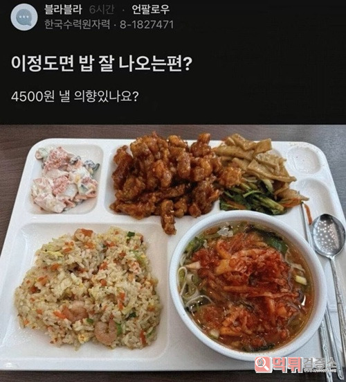 4500원이면 개혜자 4500원이면 개혜자