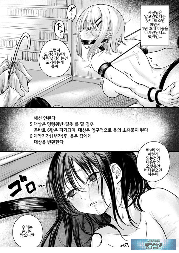 여성의 권리가 사라진 나라