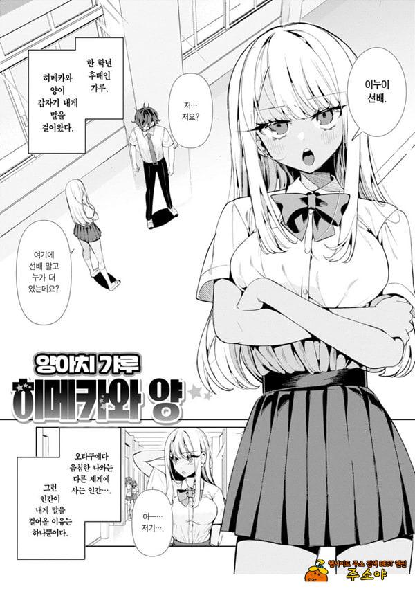 양아치 갸루 히메카와 양