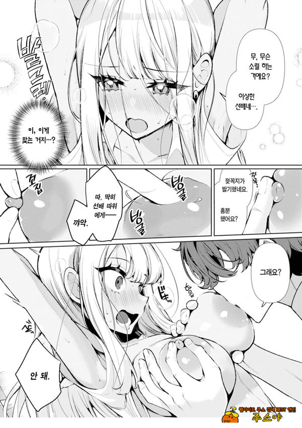 양아치 갸루 히메카와 양