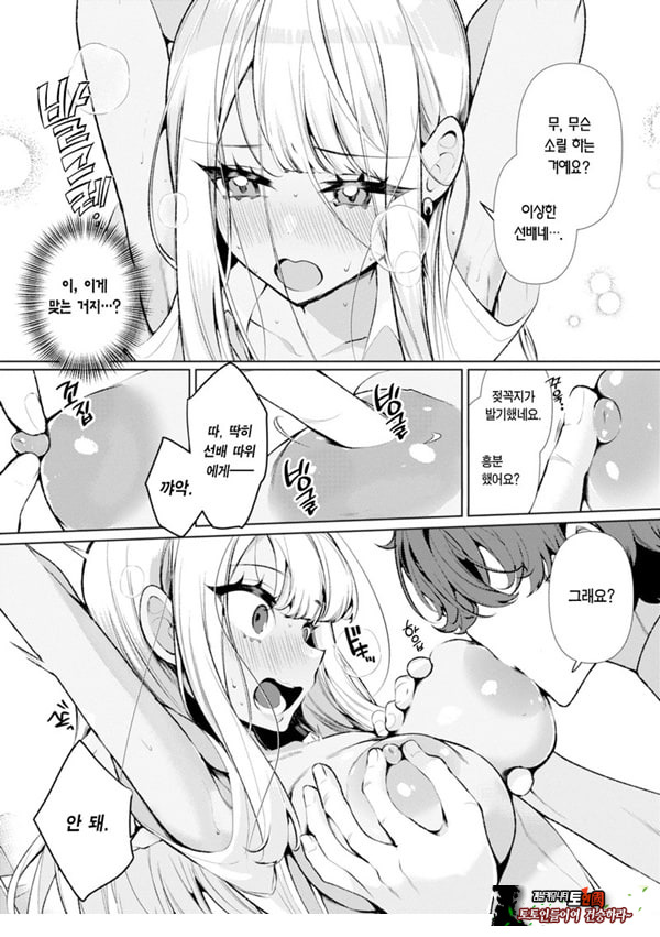 양아치 갸루 히메카와 양