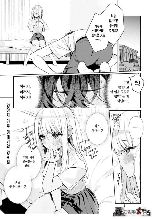양아치 갸루 히메카와 양
