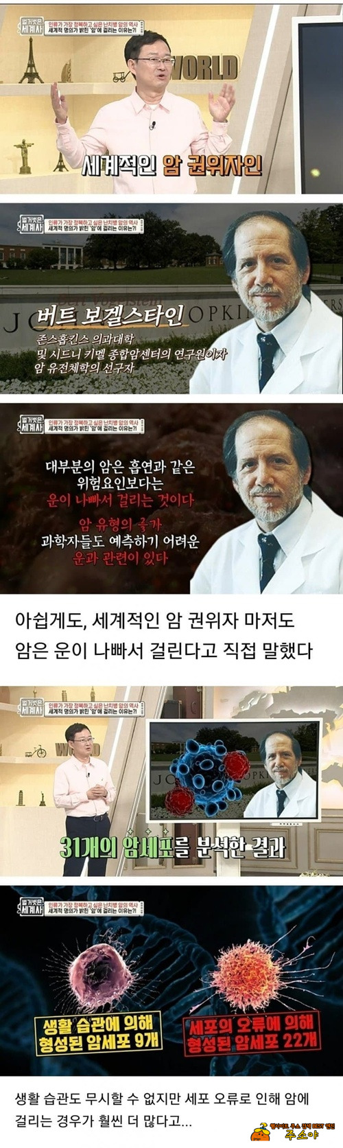 복불복 이란건가?