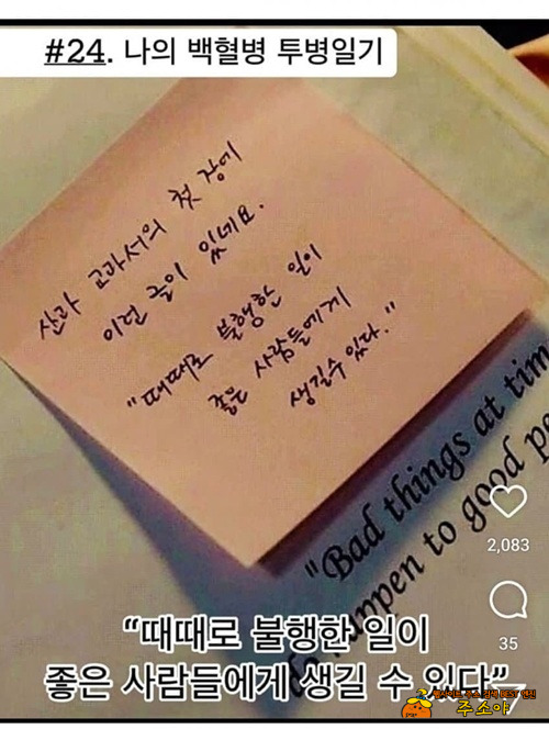 복불복 이란건가?