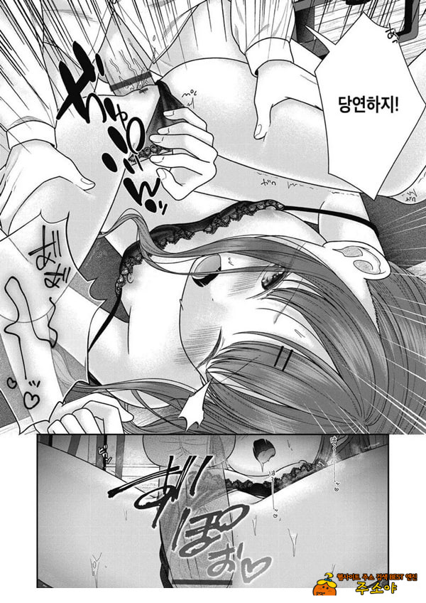 아이자와 니코