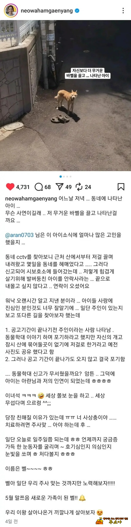얼마나 간절했으면
