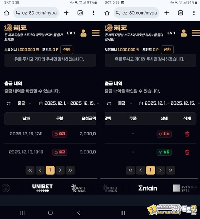 체코 먹튀