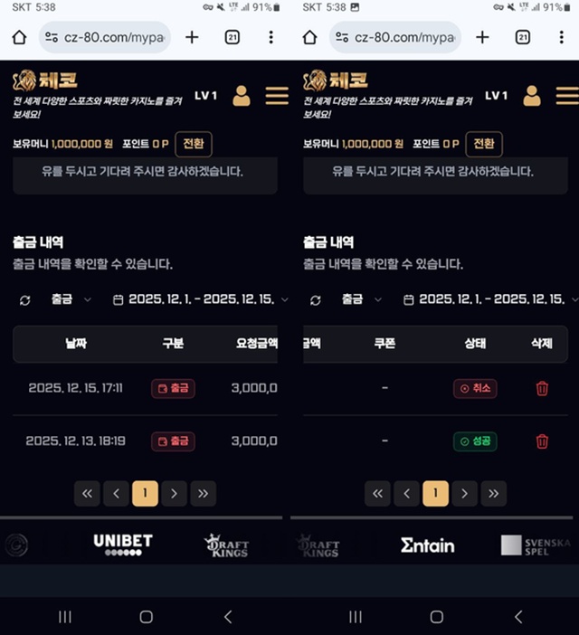 체코 먹튀 확정