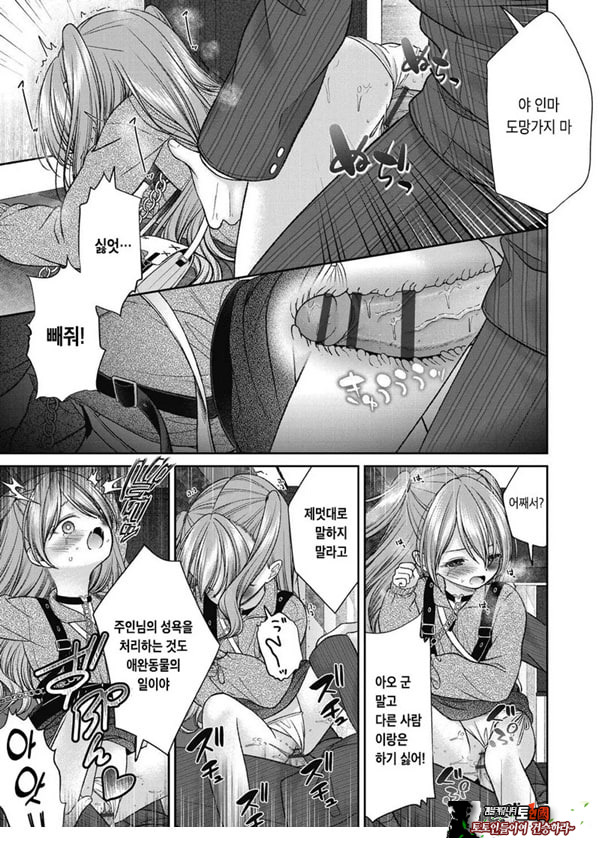 시오자키 에미리