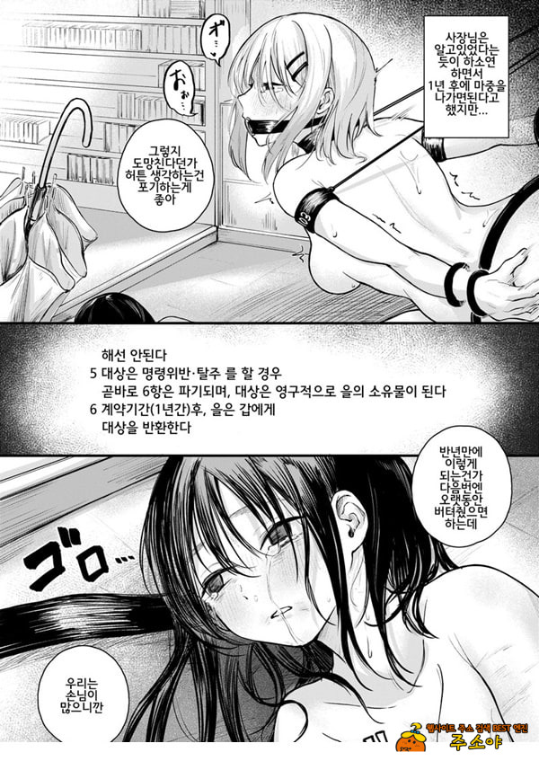여성의 권리가 사라진 나라