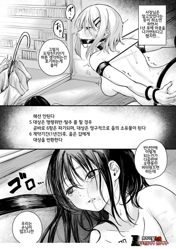 여성의 권리가 사라진 나라