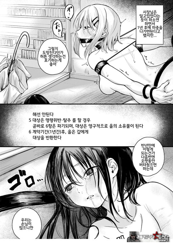 여성의 권리가 사라진 나라