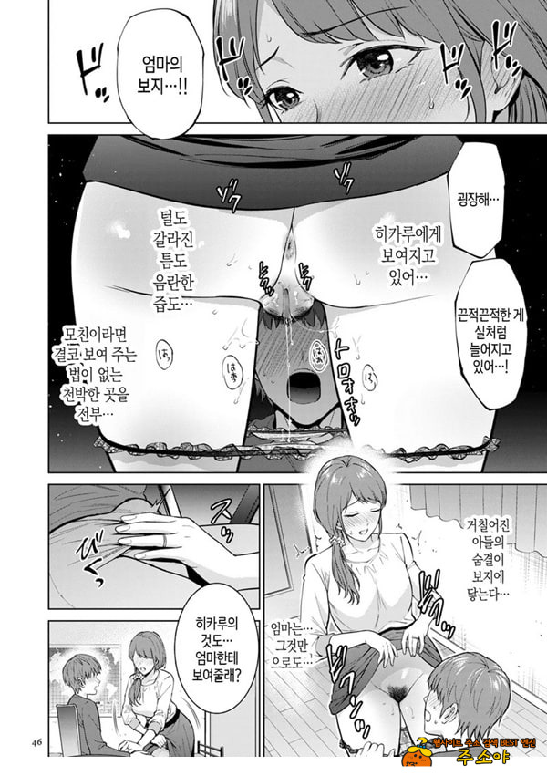 히키코모리 돌보기