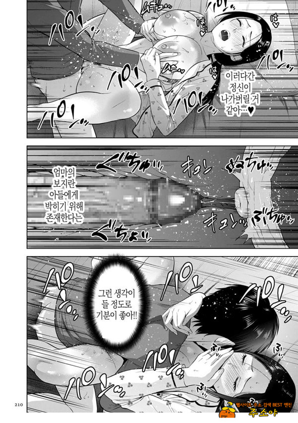 전자 특장판 NTR 특별편