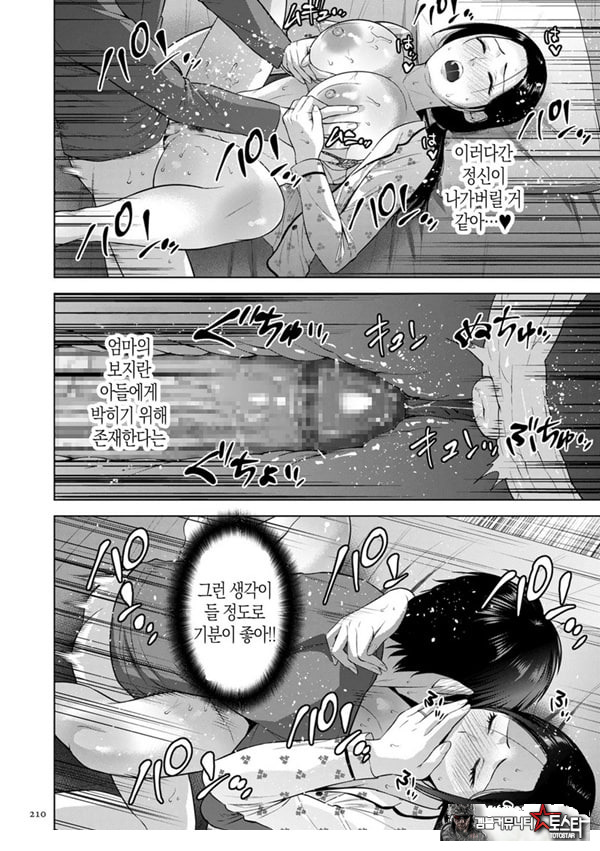 전자 특장판 NTR 특별편