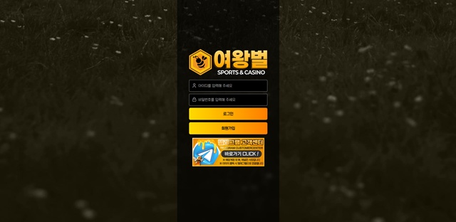 여왕벌 먹튀 확정