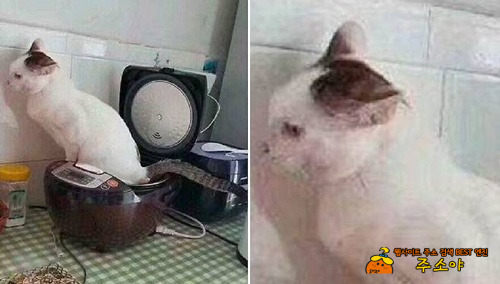 엄마가 소리지른 이유