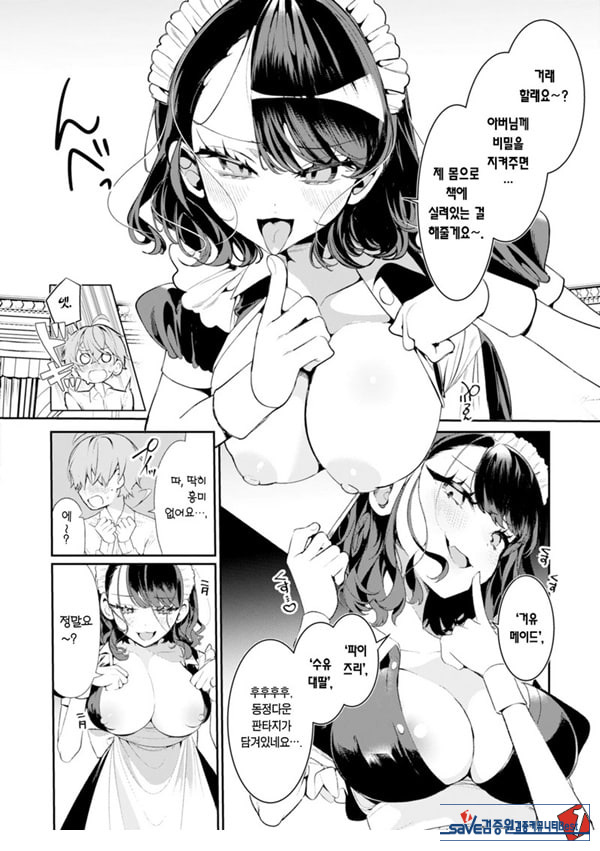 불성실한 메이드 루이 씨