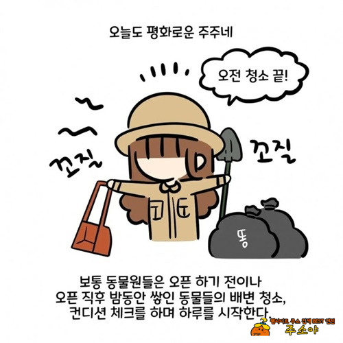 실제로 겪는다는 컴플레인