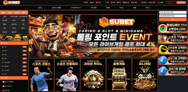 슈벳 먹튀 확정