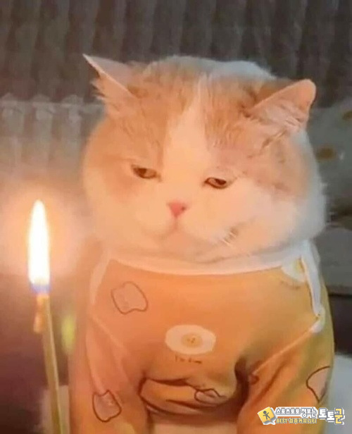 급하게 차린 생일상