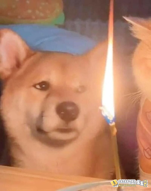 급하게 차린 생일상