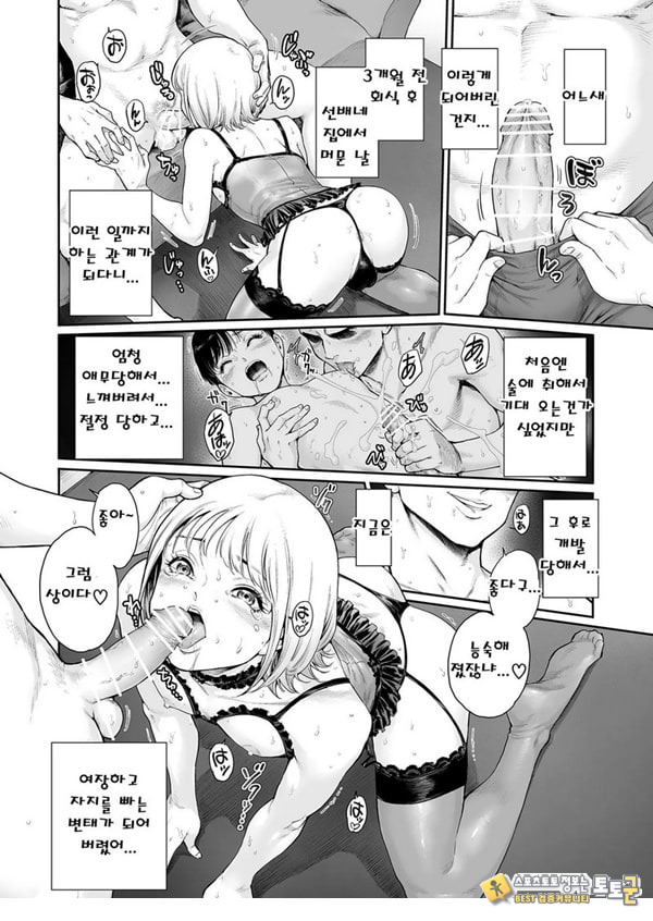 에피타이저. 3