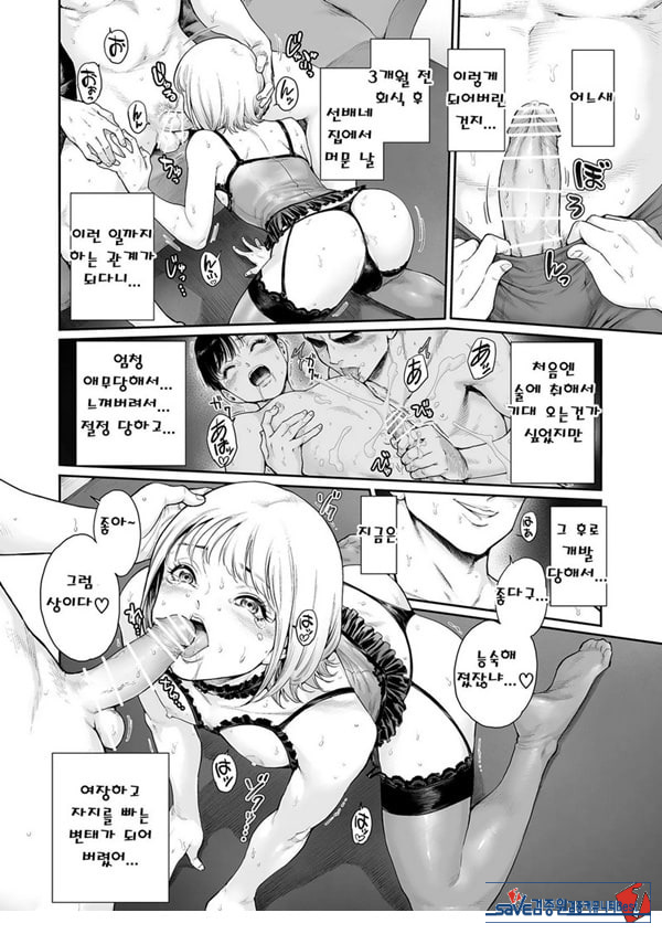 에피타이저. 3