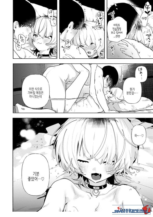 들고양이