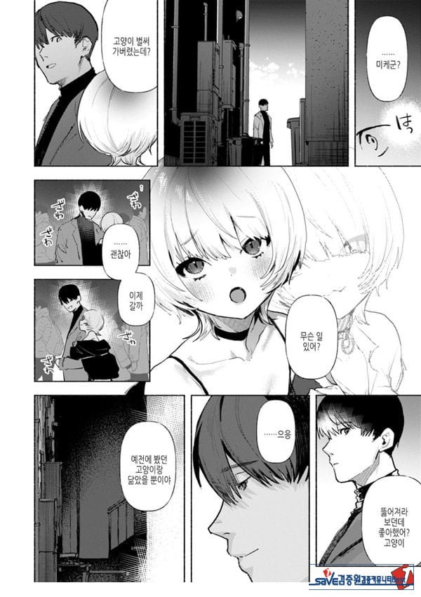들고양이