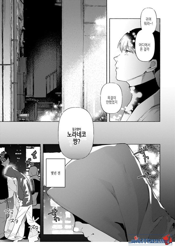 들고양이