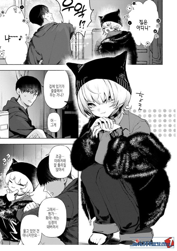 들고양이